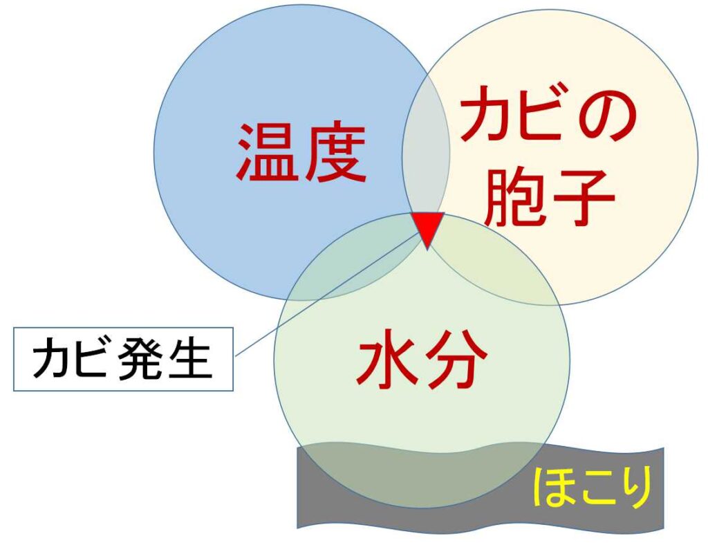 カビ発生の原因